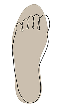 Outline of foot overlapping shape of shoe.