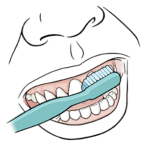 Mouth, showing brushing upper teeth with toothbrush..