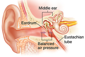 Cross section of ear showing outer, inner, and middle ear structures with balanced air pressure.