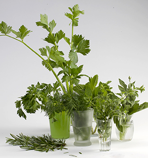 Assortment of fresh herbs.