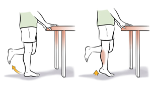 Person from waist down with hands on a table bending on leg up at the knee, then raising up on toes of standing leg.