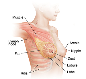 Three-quarter view of female head, neck, and chest with raised right arm showing anatomy of right breast and lymph nodes.